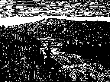 Skovlandskab ved Lule-Elv.