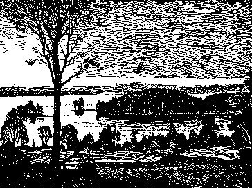 Dalsland ved Lakssøen.